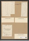 Odontotropis sp. (de-Toni-Nr.: Genus 124) Zeichnungen Sammlung Grunow Nr. 7005 (NHMW-BOT-W0375917)